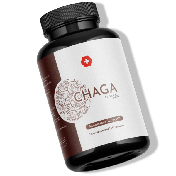 chaga grybai