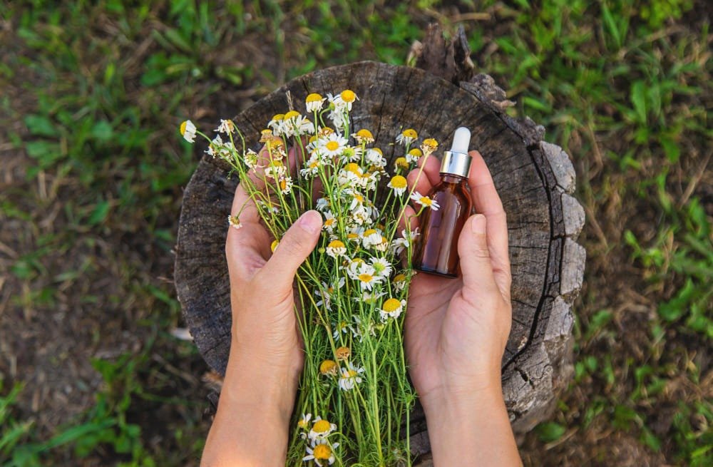 Kaip vartoti CBD aliejų: išsamus gidas 2024 - 2025 Kaip vartoti CBD aliejų: išsamus gidas 2024 - 2025