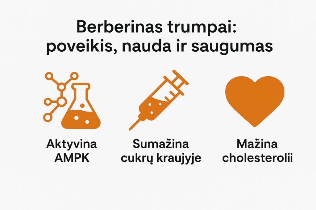 Berberino nauda, vartotojų atsiliepimai, galimas šalutinis poveikis ir dar daugiau berberino nauda