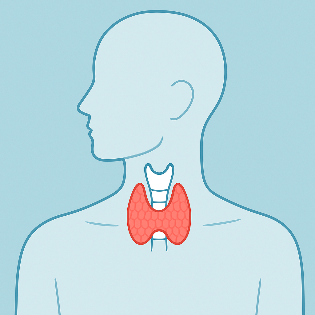 Jodas: išsamus vadovas apie jodo naudą, šaltinius ir saugų vartojimą jodas