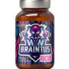 OstroVit Braintus Focus - 90 kapsulių OstroVit Braintus Focus