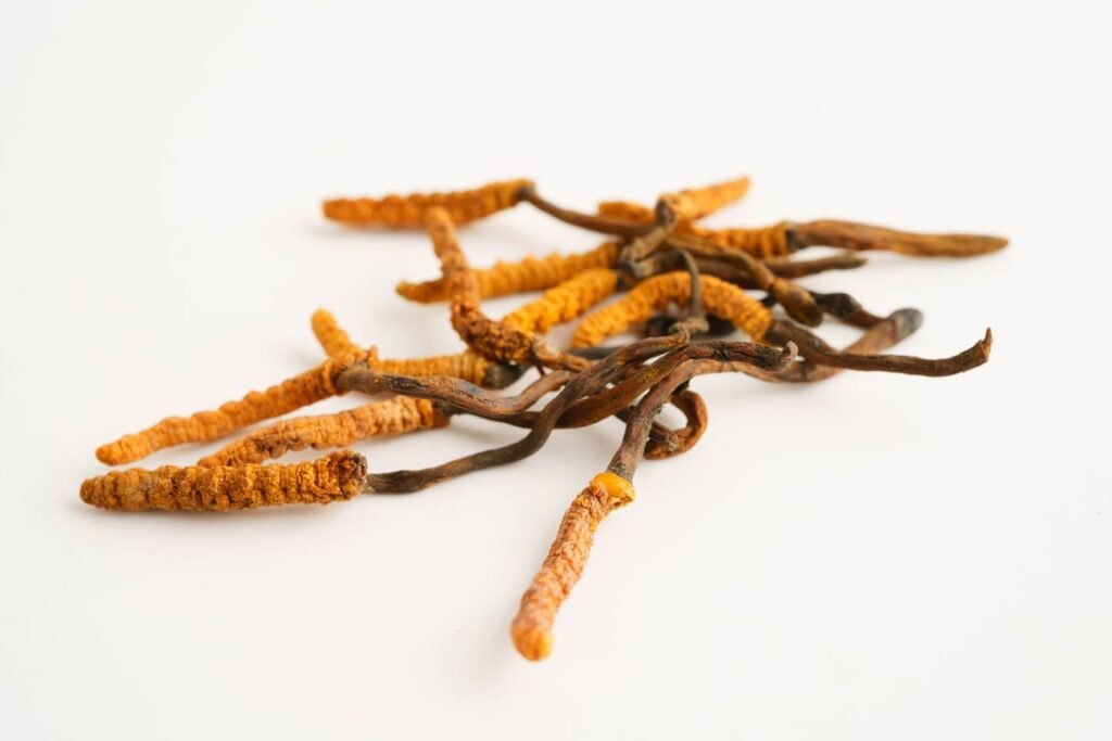 Kordicepso nauda: mokslu pagrįstas poveikis organizmui Kordicepso nauda: mokslu pagrįstas poveikis organizmui